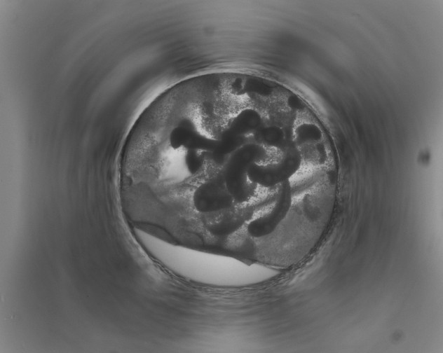 X0000090860907200708171602