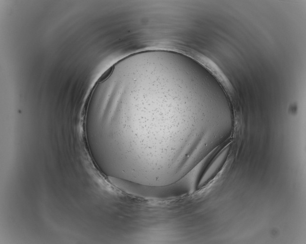 X0000090860908200708171602