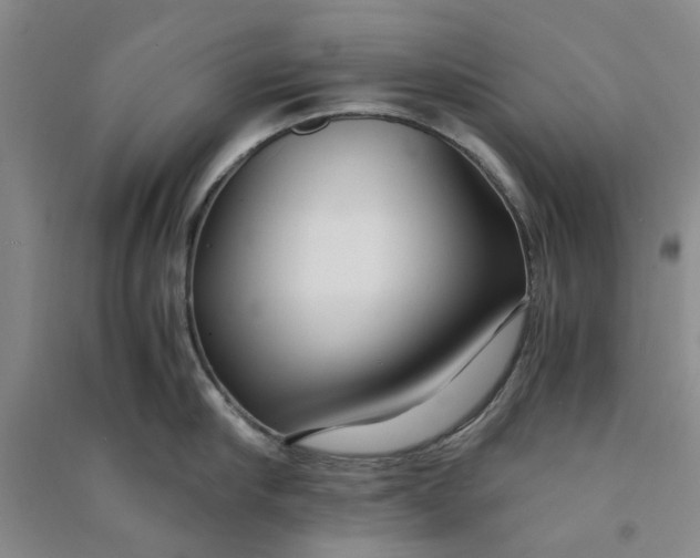 X0000090860910200708171602