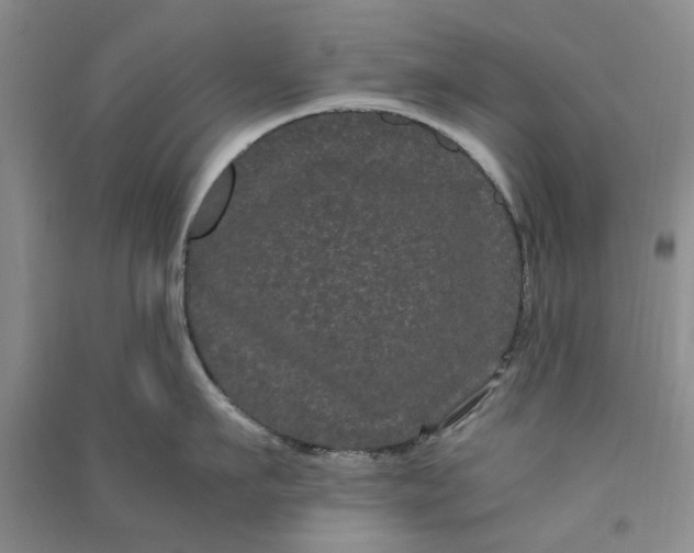 X0000090860911200708171602