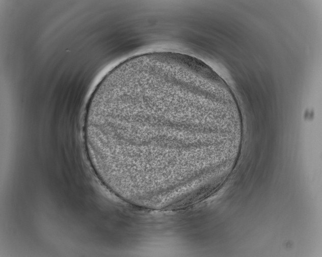 X0000090860912200708171602