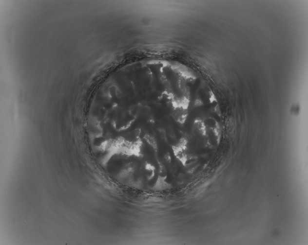 X0000090860913200708171602