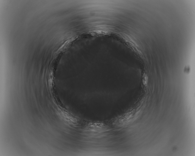 X0000090860915200708171602