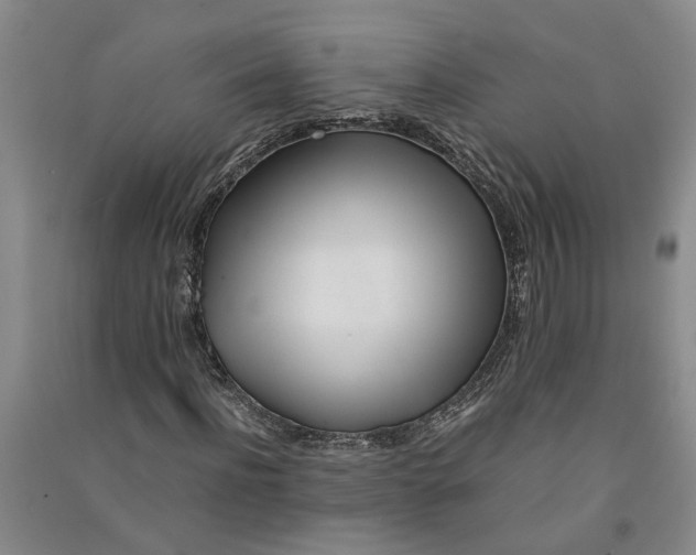X0000090860916200708171602