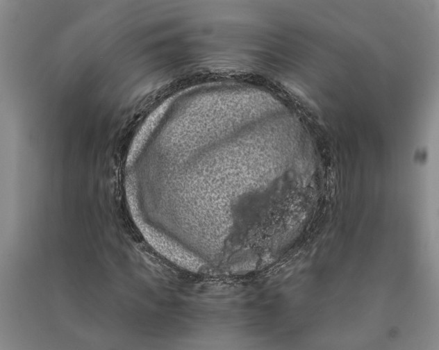 X0000090860917200708171602