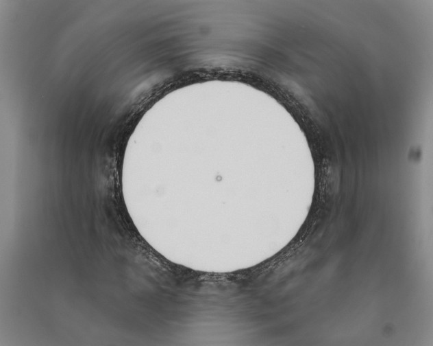 X0000090860918200708171602