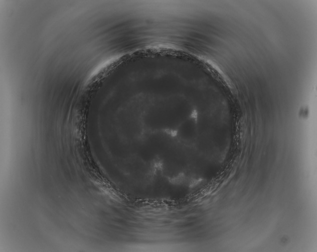 X0000090860919200708171602