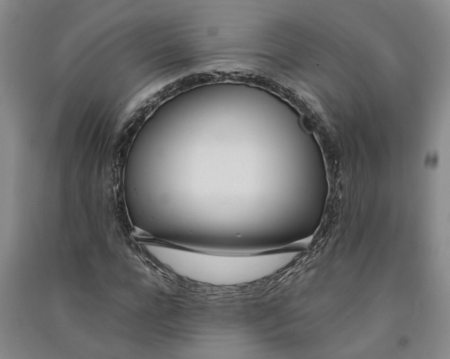 X0000090860920200708171602