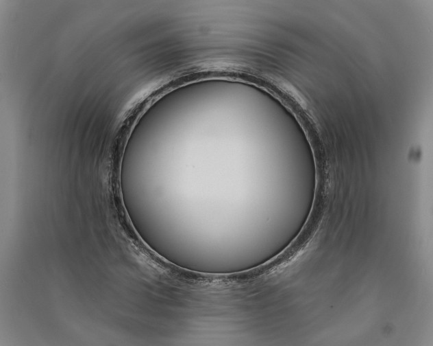 X0000090860922200708171602