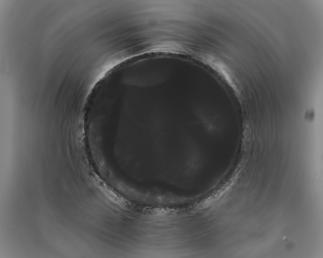 X0000090860923200708171602