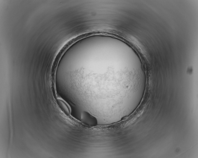 X0000090860924200708171602