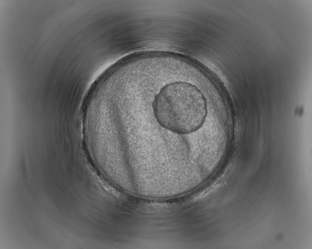 X0000090860925200708171602