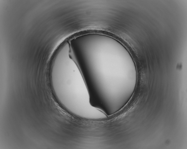 X0000090860926200708171602