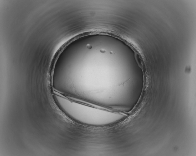 X0000090860928200708171602
