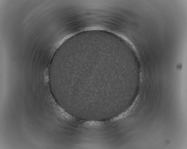 X0000090860929200708171602