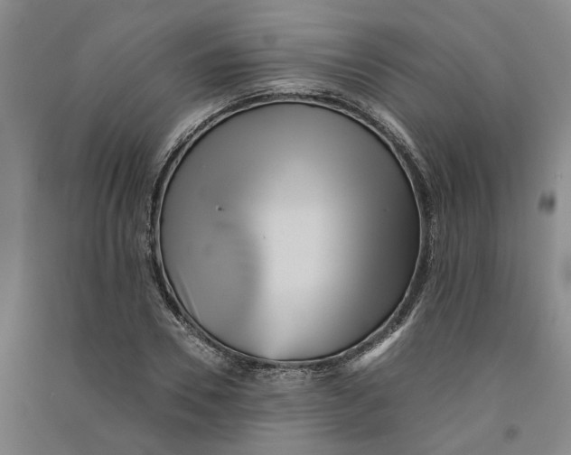 X0000090860930200708171602