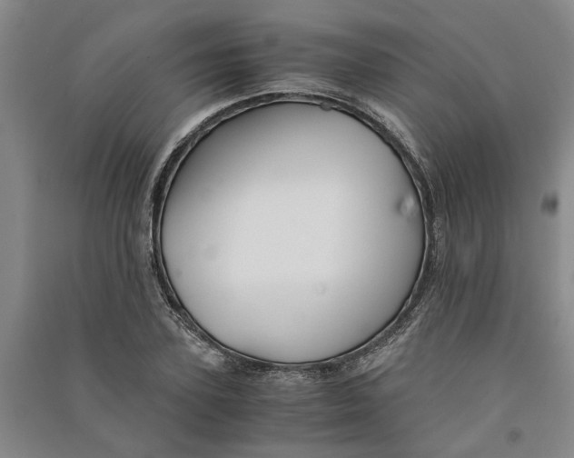 X0000090860931200708171602