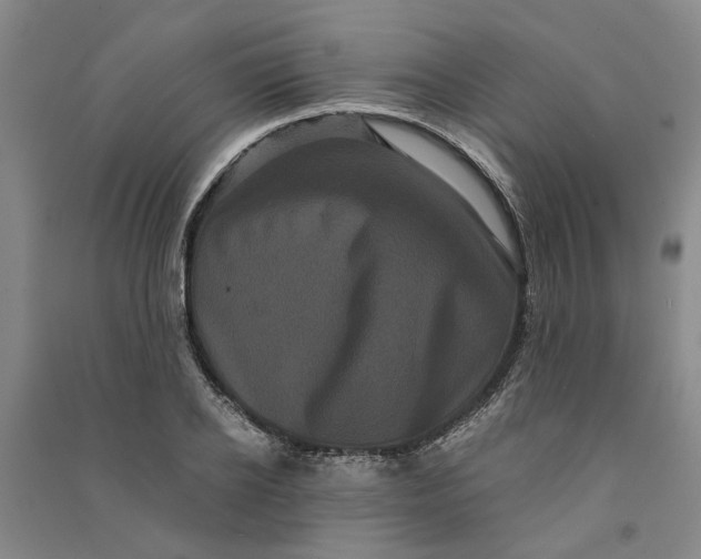 X0000090860934200708171602