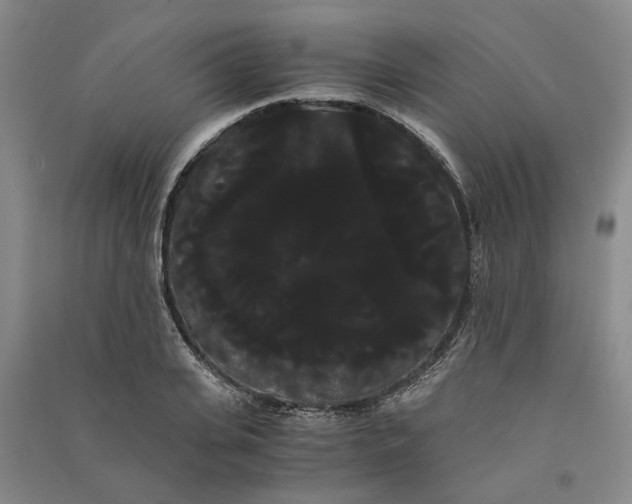 X0000090860935200708171602