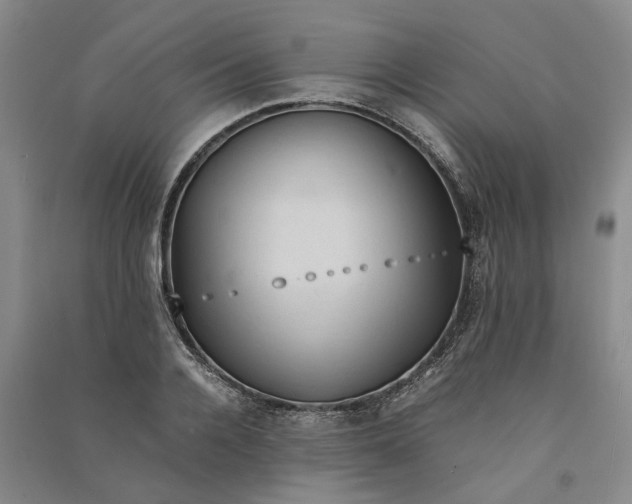 X0000090860936200708171602