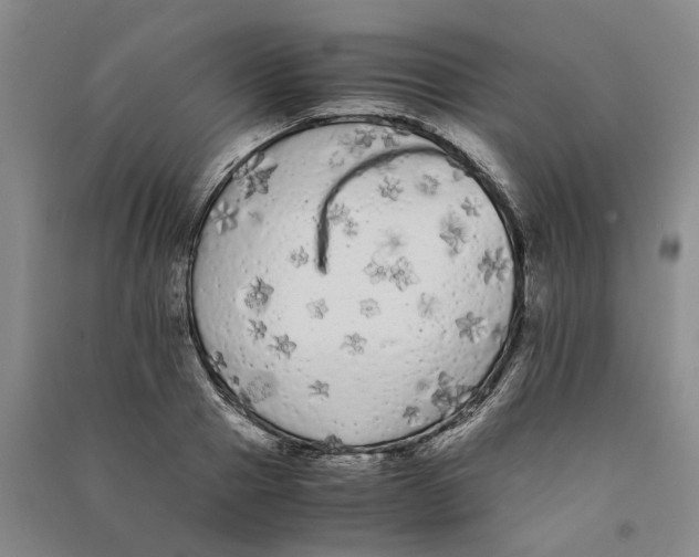 X0000090860937200708171602