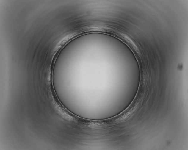 X0000090860938200708171602