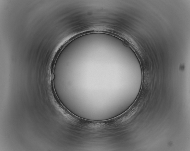 X0000090860939200708171602