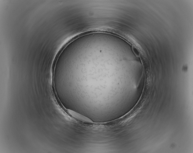 X0000090860940200708171602