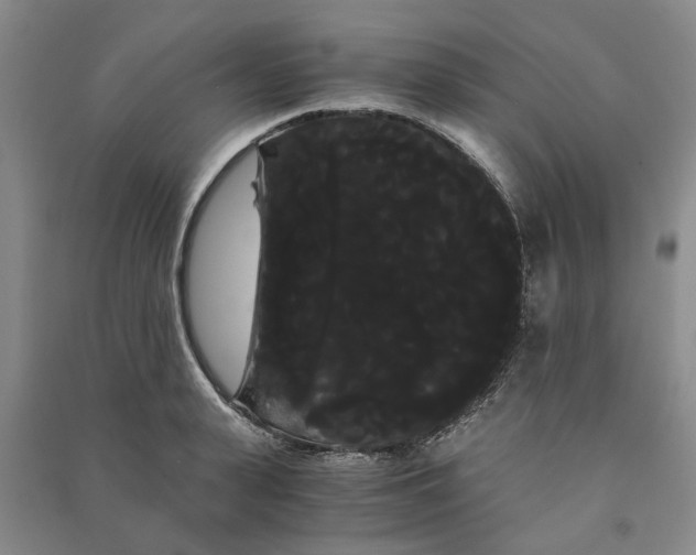 X0000090860943200708171602