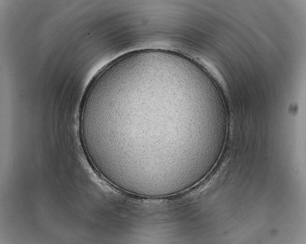 X0000090860944200708171602
