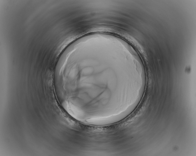 X0000090860945200708171602