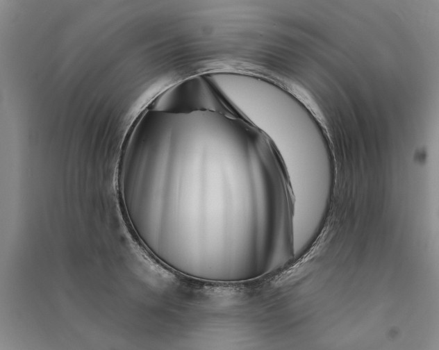 X0000090860946200708171602