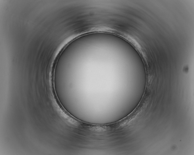 X0000090860947200708171602