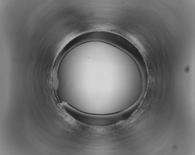 X0000090860948200708171602