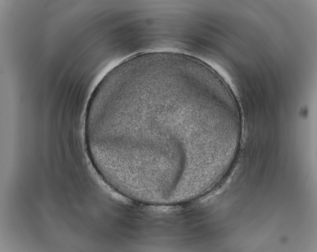 X0000090860949200708171602