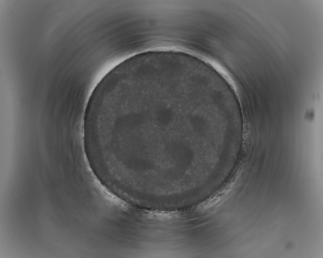 X0000090860951200708171602