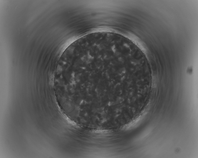 X0000090860953200708171602