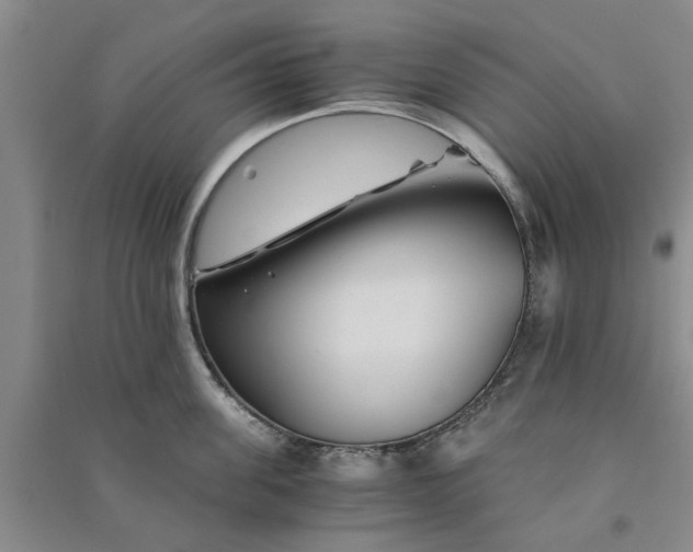 X0000090860955200708171602