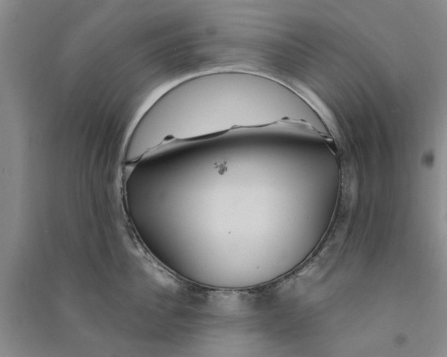 X0000090860956200708171602
