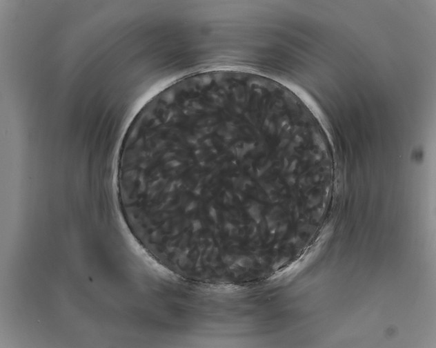 X0000090860957200708171602
