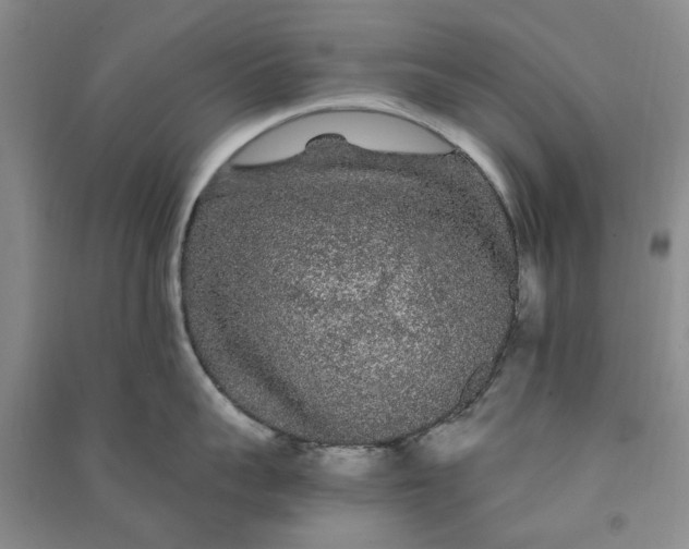 X0000090860959200708171602