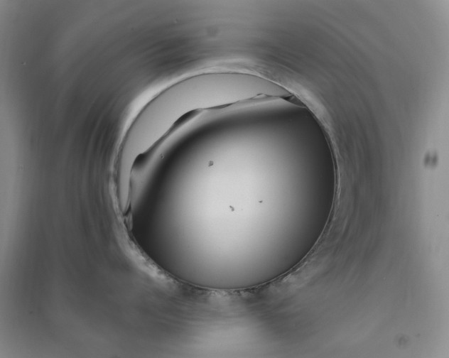 X0000090860960200708171602