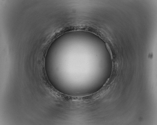 X0000090860961200708171602