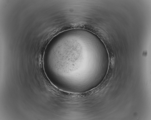 X0000090860963200708171602