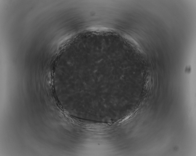 X0000090860966200708171602