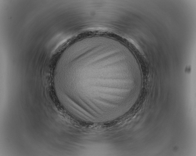 X0000090860967200708171602