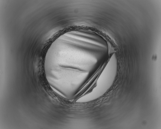 X0000090860968200708171602