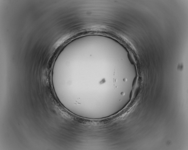 X0000090860970200708171602