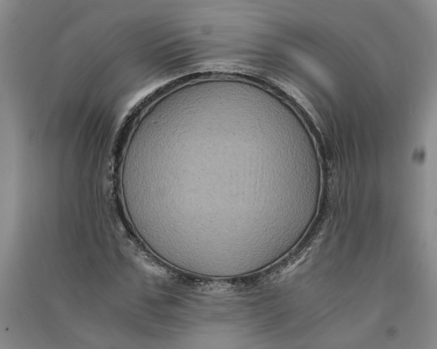 X0000090860971200708171602