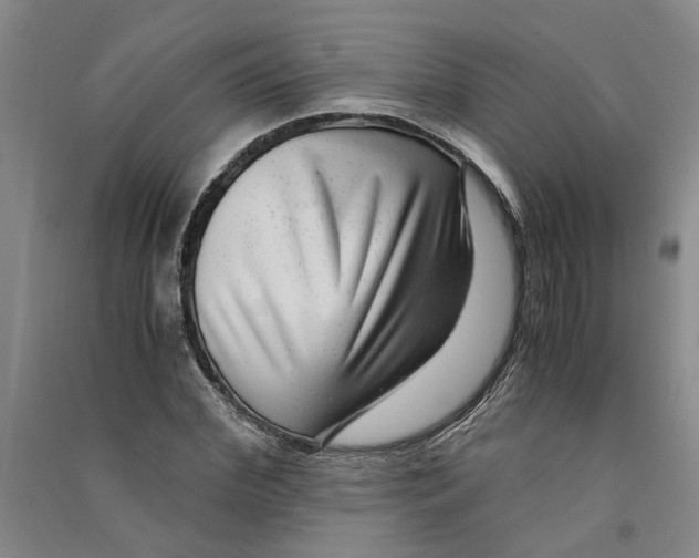 X0000090860972200708171602